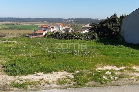 Terra a Gesteira e Brunhos, Coimbra, Gesteira e Brunhos - € 25.000 | Ref: ZMPT538802 - foto 3