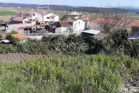 Terra a Gesteira e Brunhos, Coimbra, Gesteira e Brunhos - € 25.000 | Ref: ZMPT538802 - foto 5