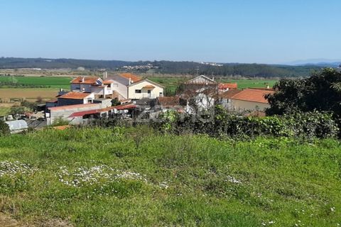 Terra a Gesteira e Brunhos, Coimbra, Gesteira e Brunhos - € 25.000 | Ref: ZMPT538802 - foto 6
