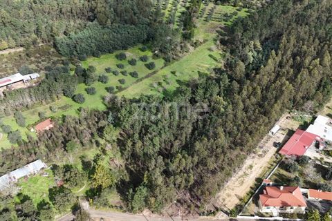 Helårsgrund i Antuzede e Vil de Matos, Coimbra, Antuzede e Vil de Matos - € 42.000 | Ref: ZMPT574323 - foto 7