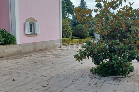 Villa in Arganil, Coimbra, Arganil - € 900.000 | Ref: ZMPT554686 - foto 32