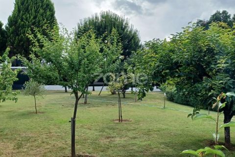 Villa in Arganil, Coimbra, Arganil - € 900.000 | Ref: ZMPT554686 - foto 36
