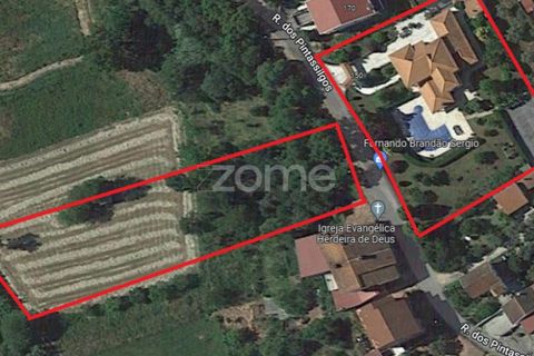 Villa in Arganil, Coimbra, Arganil - € 900.000 | Ref: ZMPT554686 - foto 49