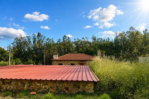 Villa a Pombal, Leiria, Pombal - € 325.000 | Ref: P702/2026 - foto 28