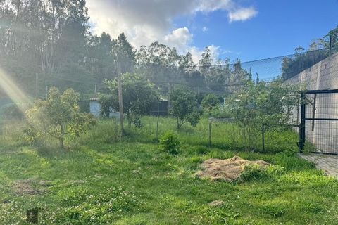 Villa a Pombal, Leiria, Pombal - € 325.000 | Ref: P702/2026 - foto 31