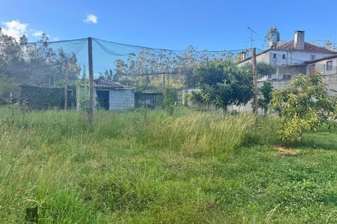 Villa a Pombal, Leiria, Pombal - € 325.000 | Ref: P702/2026 - foto 32