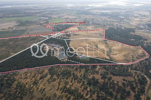 Helårsgrund i Benavente, Santarem, Benavente - € 4.500.000 | Ref: TER_158 - foto 1