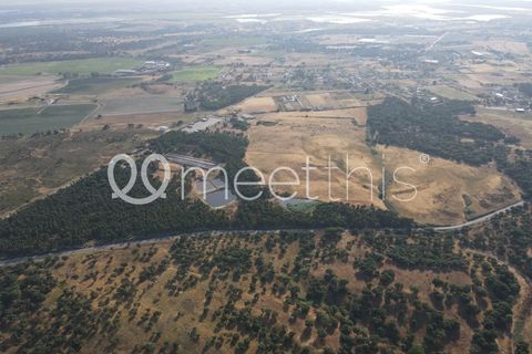 Helårsgrund i Benavente, Santarem, Benavente - € 4.500.000 | Ref: TER_158 - foto 2
