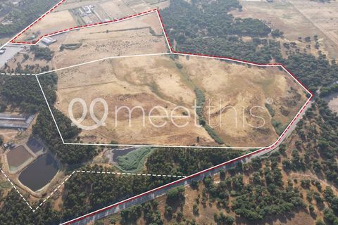 Helårsgrund i Benavente, Santarem, Benavente - € 4.500.000 | Ref: TER_158 - foto 3