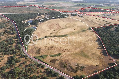 Helårsgrund i Benavente, Santarem, Benavente - € 4.500.000 | Ref: TER_158 - foto 5