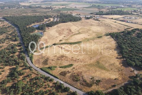 Helårsgrund i Benavente, Santarem, Benavente - € 4.500.000 | Ref: TER_158 - foto 6