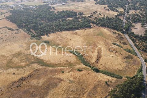 Helårsgrund i Benavente, Santarem, Benavente - € 4.500.000 | Ref: TER_158 - foto 8