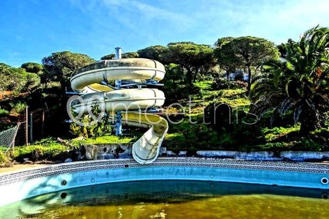Helårsgrund i Castro Marim, Faro, Castro Marim - € 7.100.000 | Ref: TER_85 - foto 5