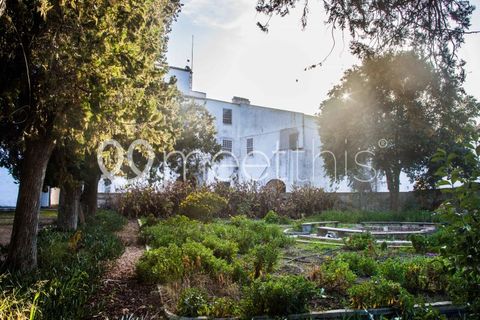 Gård i Cuba, Beja, Cuba - € 3 000 000 | Ref: MAS_52 - foto 26