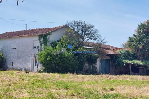 Villa - Paredes, Porto, Paredes - € 165 000 | Réf : 4827 - photo 3