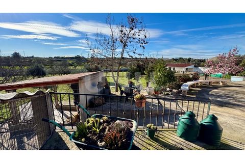 Villa i Escalos de Baixo, Castelo Branco, Escalos de Baixo - € 350.000 | Ref: UNU.I.1933.12555 - foto 36