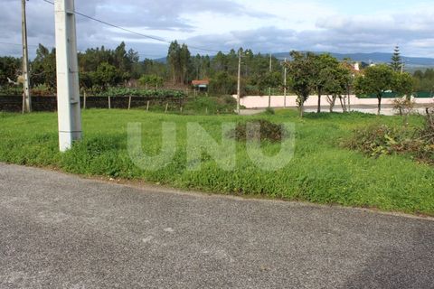 Helårsgrund i Proenca-a-Nova, Castelo Branco, Proenca-a-Nova - € 29.600 | Ref: UNU.I.1783.12555 - foto 2