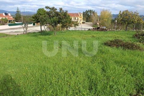 Helårsgrund i Proenca-a-Nova, Castelo Branco, Proenca-a-Nova - € 29.600 | Ref: UNU.I.1783.12555 - foto 6