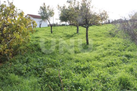 Helårsgrund i Proenca-a-Nova, Castelo Branco, Proenca-a-Nova - € 29.600 | Ref: UNU.I.1783.12555 - foto 7