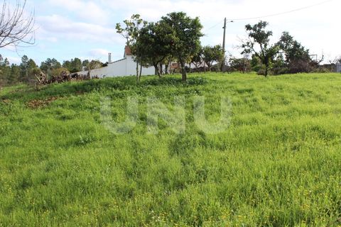 Helårsgrund i Proenca-a-Nova, Castelo Branco, Proenca-a-Nova - € 29.600 | Ref: UNU.I.1783.12555 - foto 10