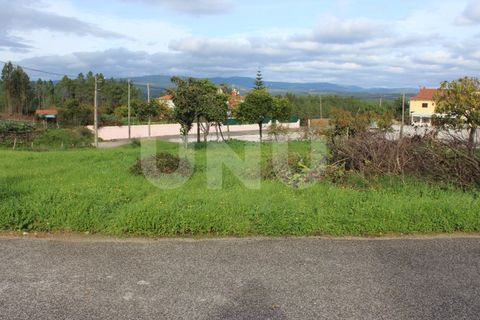 Helårsgrund i Proenca-a-Nova, Castelo Branco, Proenca-a-Nova - € 29.600 | Ref: UNU.I.1783.12555 - foto 11
