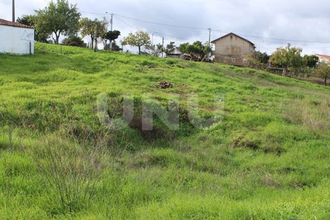 Helårsgrund i Proenca-a-Nova, Castelo Branco, Proenca-a-Nova - € 29.600 | Ref: UNU.I.1783.12555 - foto 13