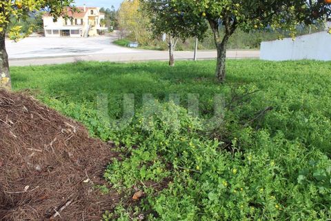 Helårsgrund i Proenca-a-Nova, Castelo Branco, Proenca-a-Nova - € 29.600 | Ref: UNU.I.1783.12555 - foto 17