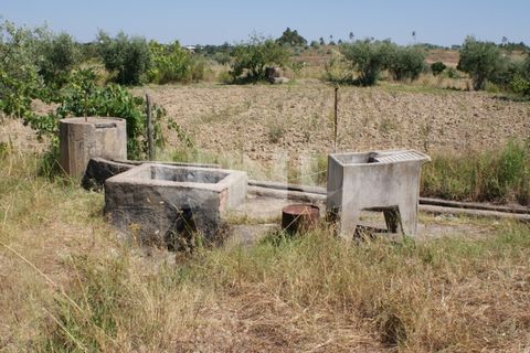 Helårsgrund i Ladoeiro, Castelo Branco, Ladoeiro - € 15.000 | Ref: UNU.I.1323.12555 - foto 10