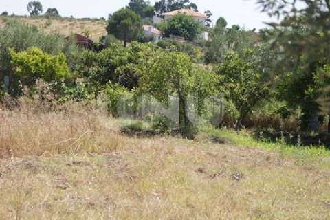 Helårsgrund i Ladoeiro, Castelo Branco, Ladoeiro - € 15.000 | Ref: UNU.I.1323.12555 - foto 14