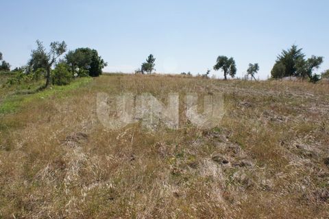 Helårsgrund i Ladoeiro, Castelo Branco, Ladoeiro - € 15.000 | Ref: UNU.I.1323.12555 - foto 17
