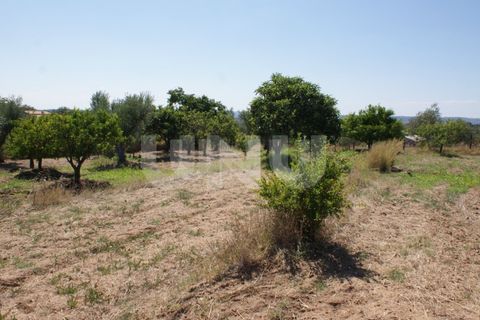 Helårsgrund i Ladoeiro, Castelo Branco, Ladoeiro - € 15.000 | Ref: UNU.I.1323.12555 - foto 19