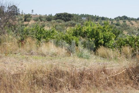 Helårsgrund i Ladoeiro, Castelo Branco, Ladoeiro - € 15.000 | Ref: UNU.I.1323.12555 - foto 24