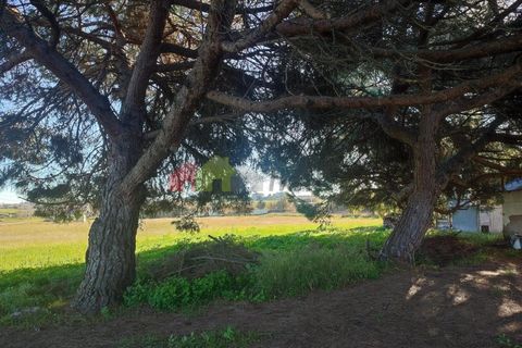 Helårsgrund i Moita, Setubal, Moita - € 460.000 | Ref: 007.946.019 - foto 3