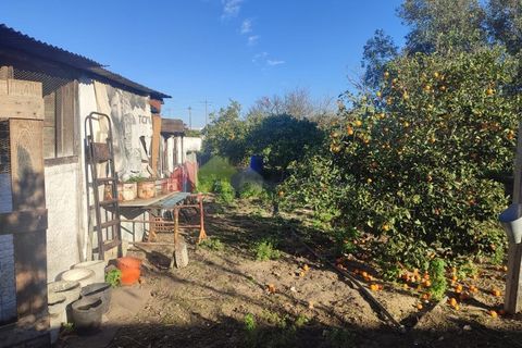 Helårsgrund i Moita, Setubal, Moita - € 460.000 | Ref: 007.946.019 - foto 5