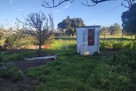 Helårsgrund i Moita, Setubal, Moita - € 460.000 | Ref: 007.946.019 - foto 6