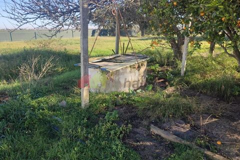 Helårsgrund i Moita, Setubal, Moita - € 460.000 | Ref: 007.946.019 - foto 9