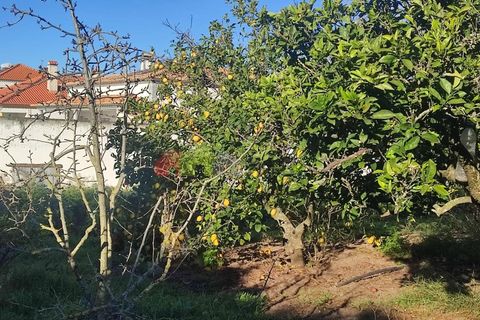 Helårsgrund i Moita, Setubal, Moita - € 460.000 | Ref: 007.946.019 - foto 10