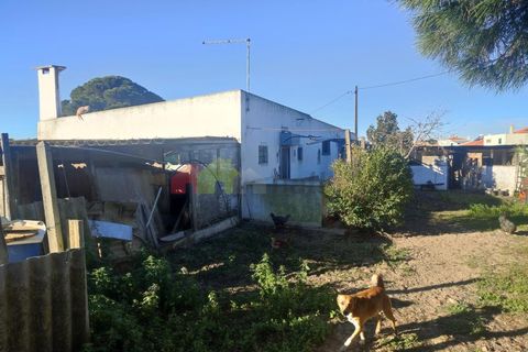 Helårsgrund i Moita, Setubal, Moita - € 460.000 | Ref: 007.946.019 - foto 11