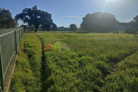 Helårsgrund i Moita, Setubal, Moita - € 460.000 | Ref: 007.946.019 - foto 13