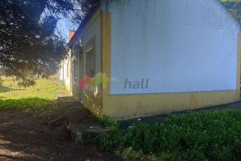 Helårsgrund i Moita, Setubal, Moita - € 460.000 | Ref: 007.946.019 - foto 14