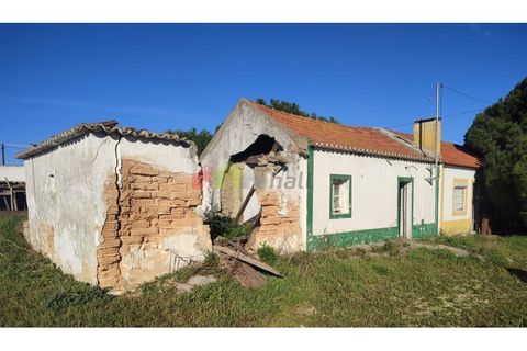 Helårsgrund i Moita, Setubal, Moita - € 460.000 | Ref: 007.946.019 - foto 15