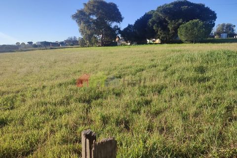 Helårsgrund i Moita, Setubal, Moita - € 460.000 | Ref: 007.946.019 - foto 16