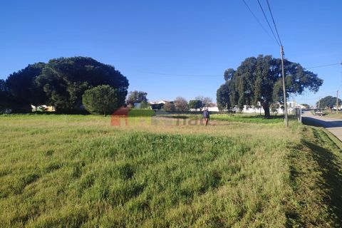 Helårsgrund i Moita, Setubal, Moita - € 460.000 | Ref: 007.946.019 - foto 17