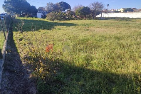 Helårsgrund i Moita, Setubal, Moita - € 460.000 | Ref: 007.946.019 - foto 19