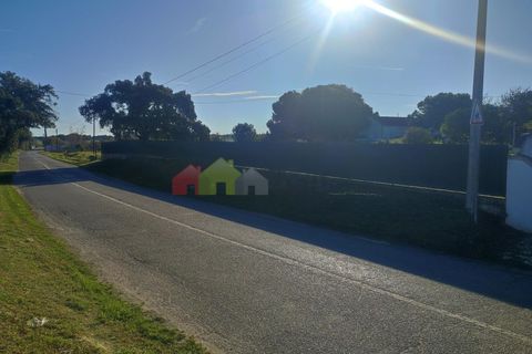 Helårsgrund i Moita, Setubal, Moita - € 460.000 | Ref: 007.946.019 - foto 20
