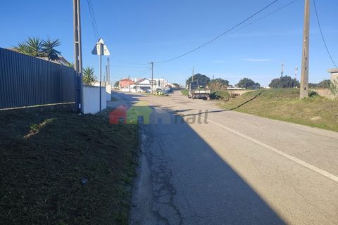 Helårsgrund i Moita, Setubal, Moita - € 460.000 | Ref: 007.946.019 - foto 21