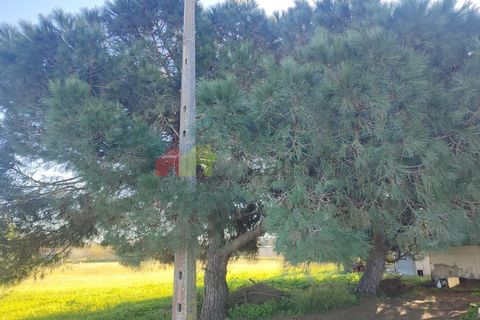 Helårsgrund i Moita, Setubal, Moita - € 460.000 | Ref: 007.946.019 - foto 24