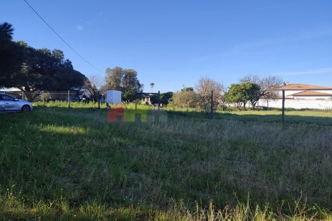 Helårsgrund i Moita, Setubal, Moita - € 460.000 | Ref: 007.946.019 - foto 25