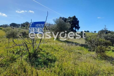 Helårsgrund i Castro Marim, Faro, Castro Marim - € 70.000 | Ref: AL64145VR - foto 4