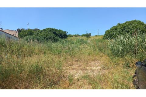 Terra em Pernes, Santarem, Pernes - € 26.900 | Ref: TM97455 - foto 1